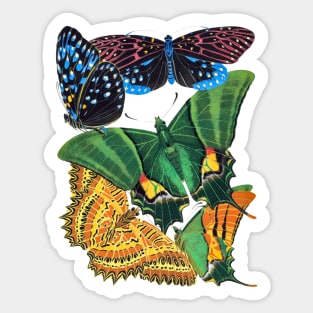Butterflies Watercolor #3 Sticker